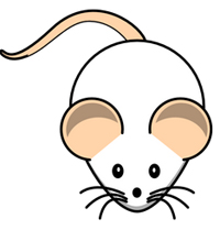 Rat Chinese Horoscope for 2017 will tell you about your future life for the coming year.
