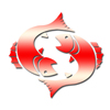 Pisces 2013 Hindi Horoscope